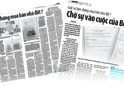 Luật sư làm chứng mua bán nhà đất?: Đồng Nai vào cuộc quyết liệt, thanh tra xử lý