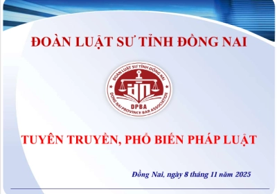 MỘT SỐ TÀI LIỆU TUYÊN TRUYỀN PHÁP LUẬT HƯỞNG ỨNG NGÀY PHÁP LUẬT VIỆT NAM 9/11 CỦA ĐOÀN LUẬT SƯ TỈNH ĐỒNG NAI 