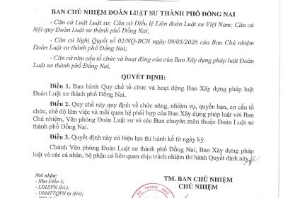 QUY CHẾ TỔ CHỨC VÀ HOẠT ĐỘNG BAN XÂY DỰNG PHÁP LUẬT