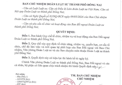 QUY CHẾ TỔ CHỨC, HOẠT ĐỘNG BAN ĐỐI NGOẠI
