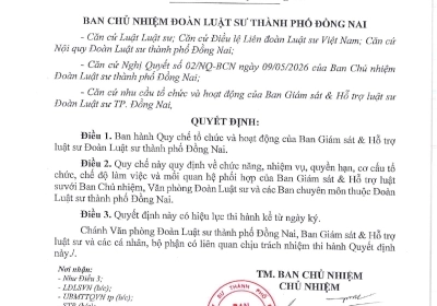 QUY CHẾ TỔ CHỨC VÀ HOẠT ĐỘNG BAN GIÁM SÁT VÀ HỖ TRỢ LUẬT SƯ 