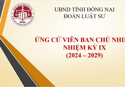 Ứng Cử Viên Ban Chủ Nhiệm, Nhiệm Kỳ IX (2024-2029)