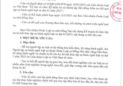 ĐĂNG KÝ LỚP ÔN THI TẬP SỰ HÀNH NGHỀ LUẬT SƯ ĐỢT 1 NĂM 2025