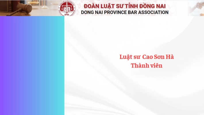 Luật sư  Cao Sơn Hà - Thành viên